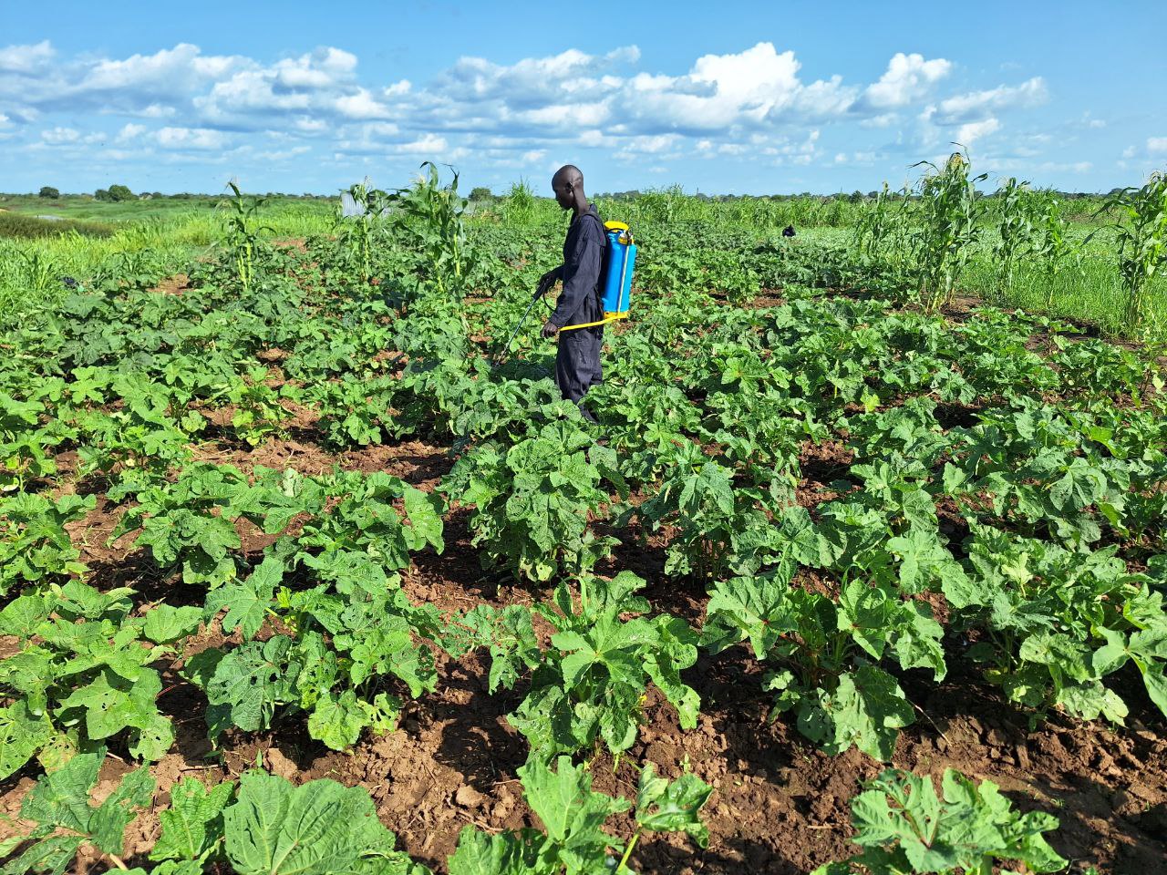 photo 2025 07 15 23 53 01